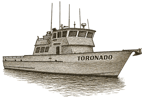 Toronado Sportfishing